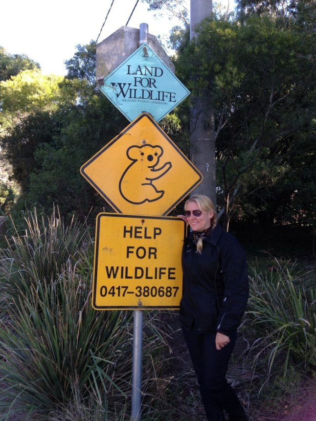 IMG_8887 (FILEminimizer)