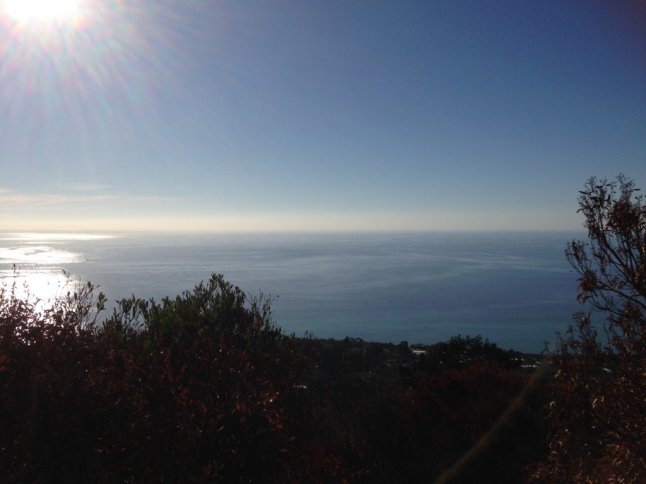 IMG_8888 (FILEminimizer)