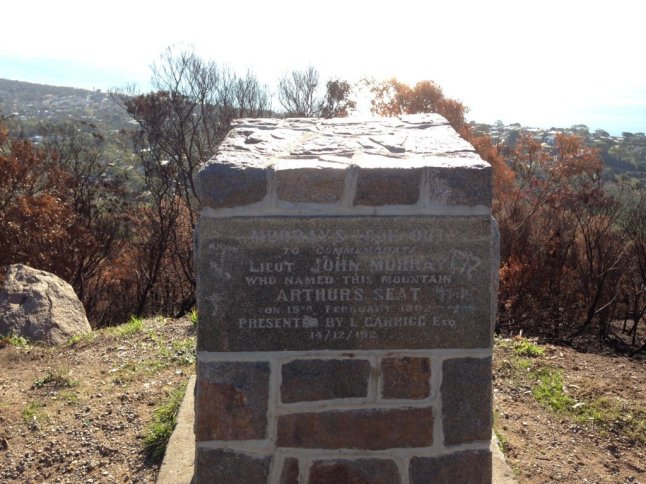 IMG_8890 (FILEminimizer)