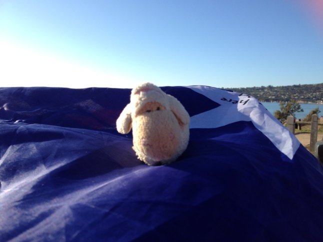 IMG_8902 (FILEminimizer)