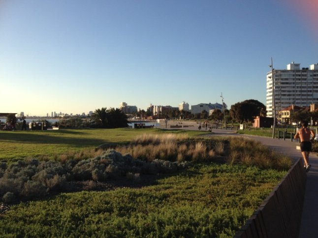 IMG_8994 (FILEminimizer)