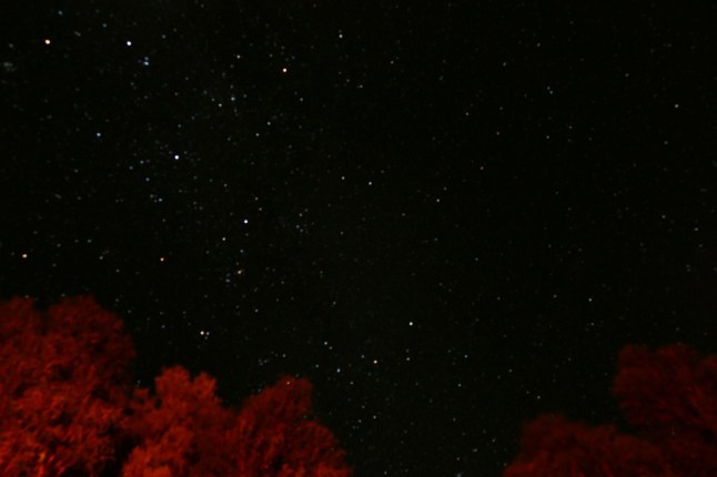 P1080230 (FILEminimizer)