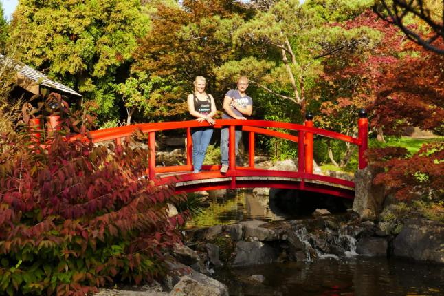 P1100095 (FILEminimizer)