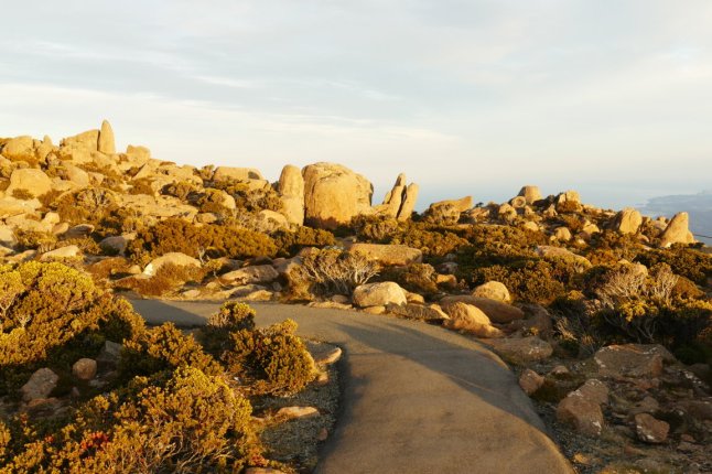 P1100117 (FILEminimizer)