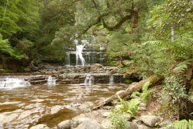 P1100184 (FILEminimizer)