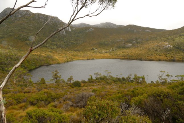 P1100185 (FILEminimizer)