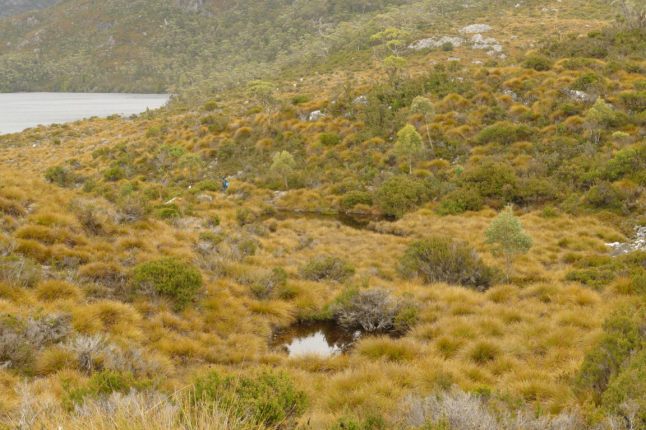 P1100195 (FILEminimizer)