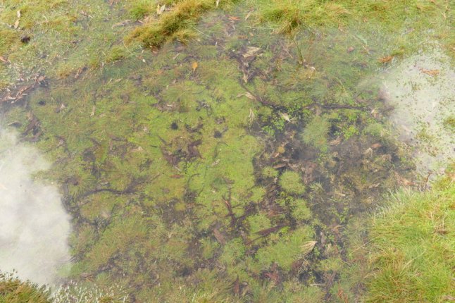 P1100216 (FILEminimizer)