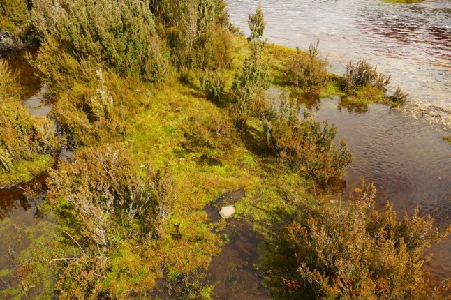 P1100219 (FILEminimizer)