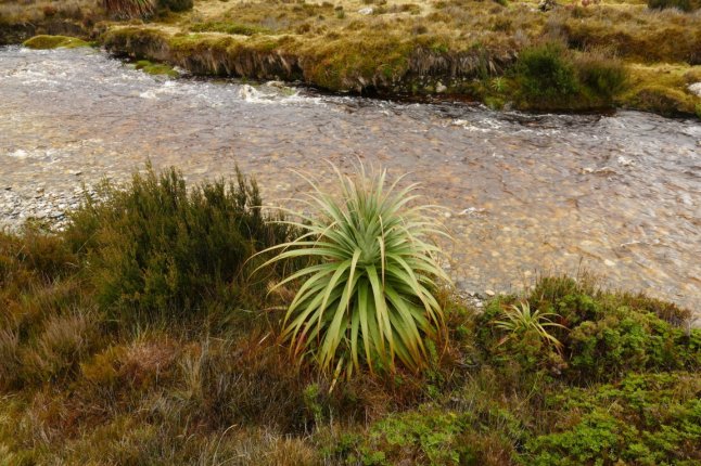 P1100225 (FILEminimizer)