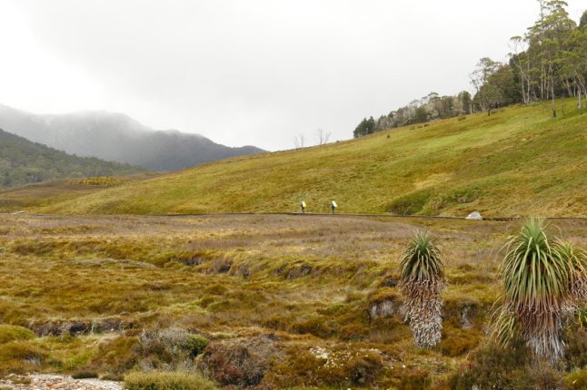 P1100226 (FILEminimizer)