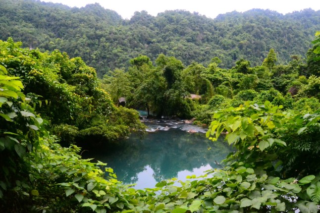 DSC_0004 (FILEminimizer)