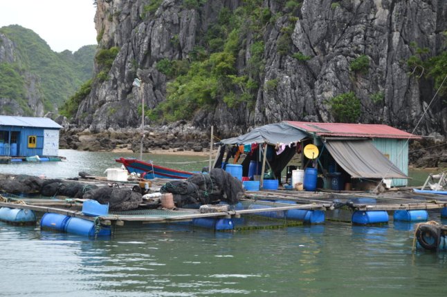 DSC_0033 (FILEminimizer)