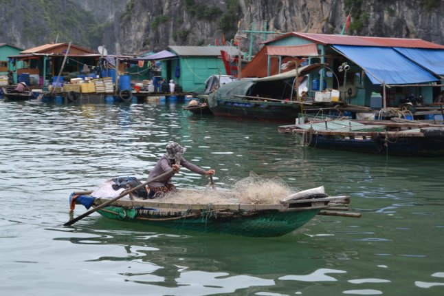 DSC_0051 (FILEminimizer)