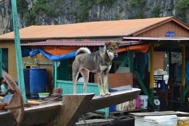 DSC_0064 (FILEminimizer)