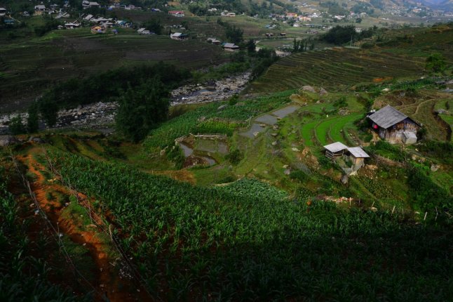 DSC_0131 (FILEminimizer)