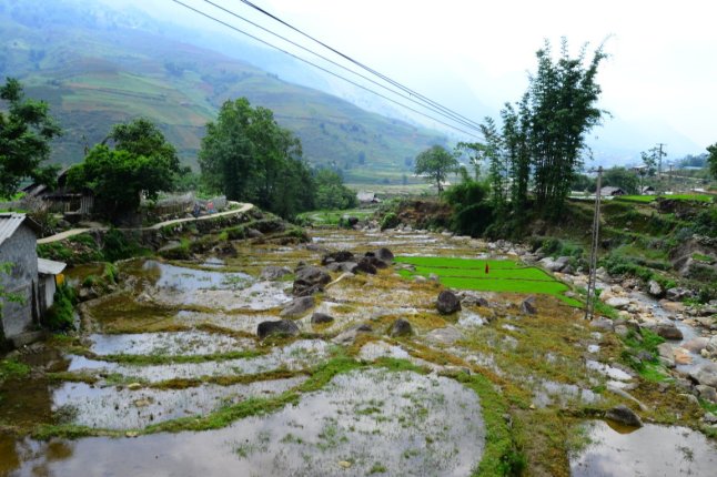 DSC_0152 (FILEminimizer)