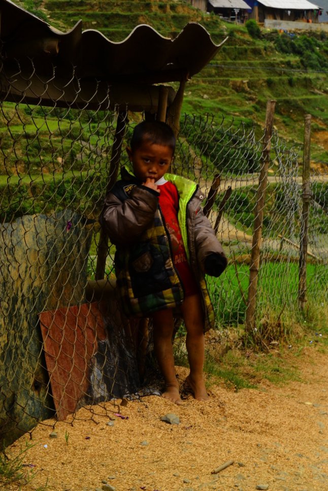 DSC_0183 (FILEminimizer)