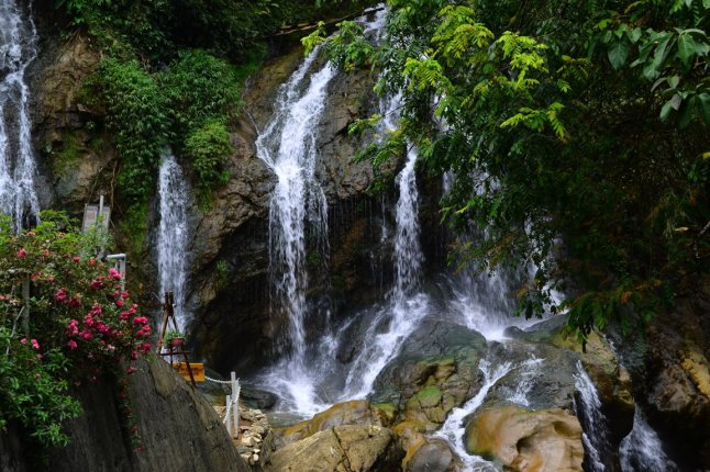 DSC_0203 (FILEminimizer)