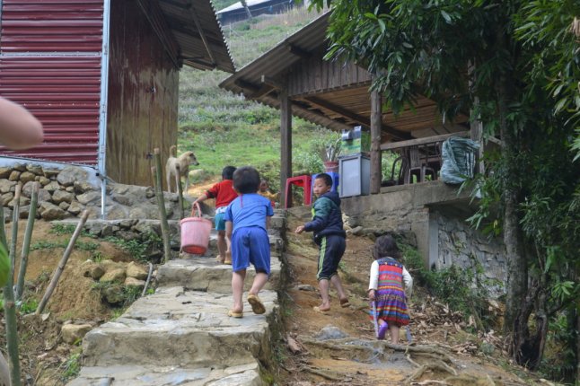 DSC_0231 (FILEminimizer)