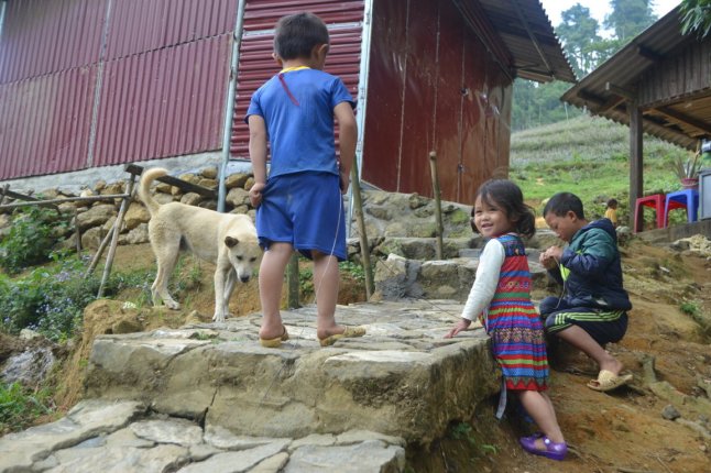 DSC_0233 (FILEminimizer)