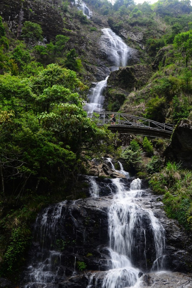 DSC_0249 (FILEminimizer)