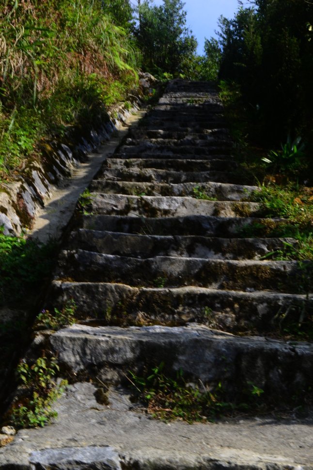 DSC_0275 (FILEminimizer)