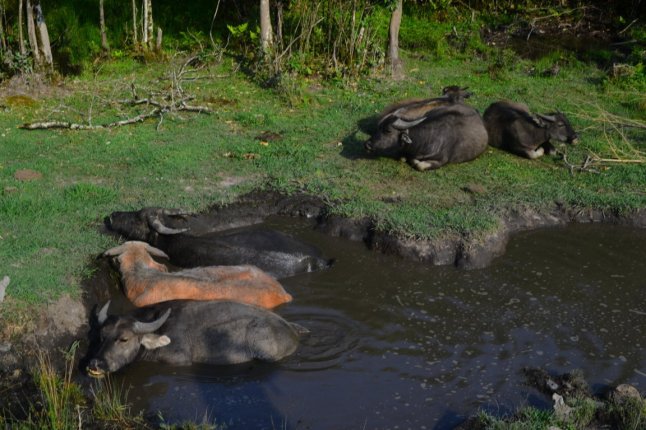 DSC_0290 (FILEminimizer)