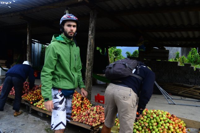 DSC_0341 (FILEminimizer)