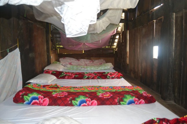 DSC_0352 (FILEminimizer)