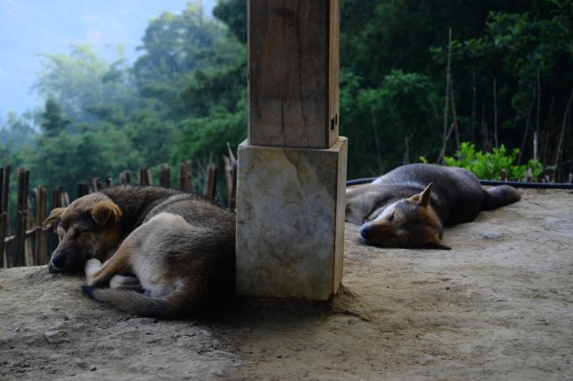 DSC_0371 (FILEminimizer)