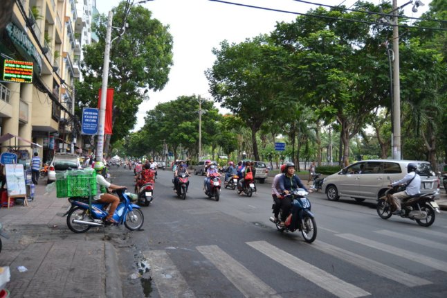 DSC_0377 (FILEminimizer)