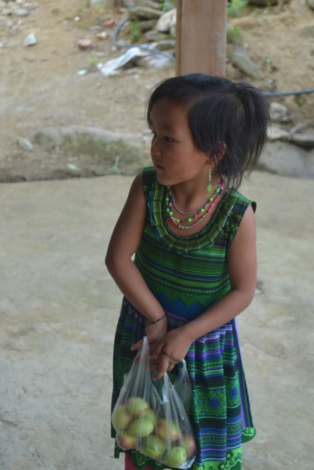 DSC_0390 (FILEminimizer)