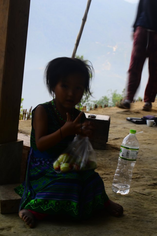 DSC_0392 (FILEminimizer)