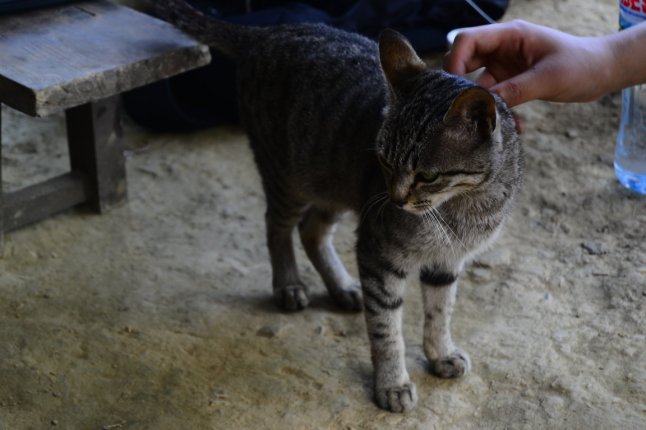 DSC_0451 (FILEminimizer)