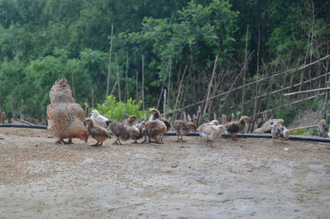 DSC_0469 (FILEminimizer)