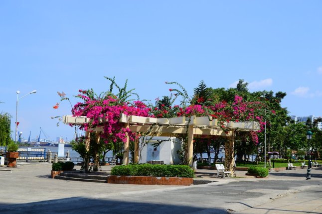 DSC_0500 (FILEminimizer)