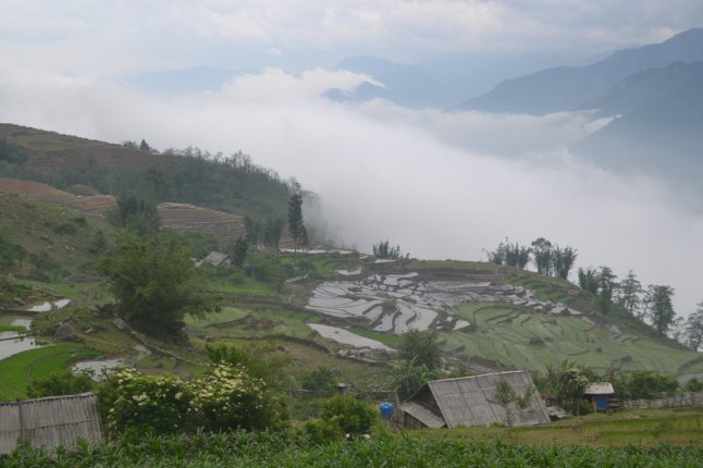 DSC_0540 (FILEminimizer)