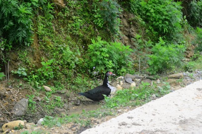 DSC_0545 (FILEminimizer)