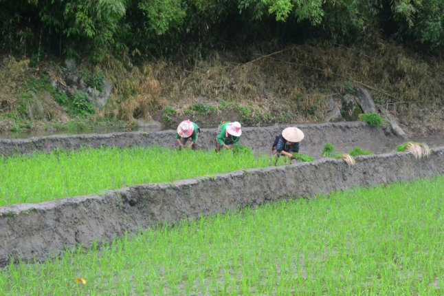 DSC_0551 (FILEminimizer)