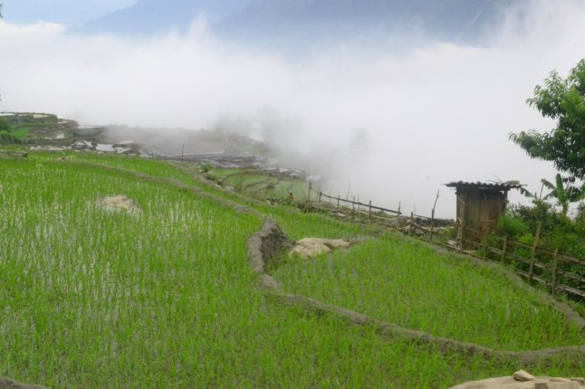 DSC_0553 (FILEminimizer)