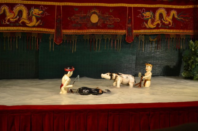 DSC_0570 (FILEminimizer)