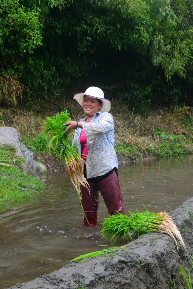 DSC_0571 (FILEminimizer)