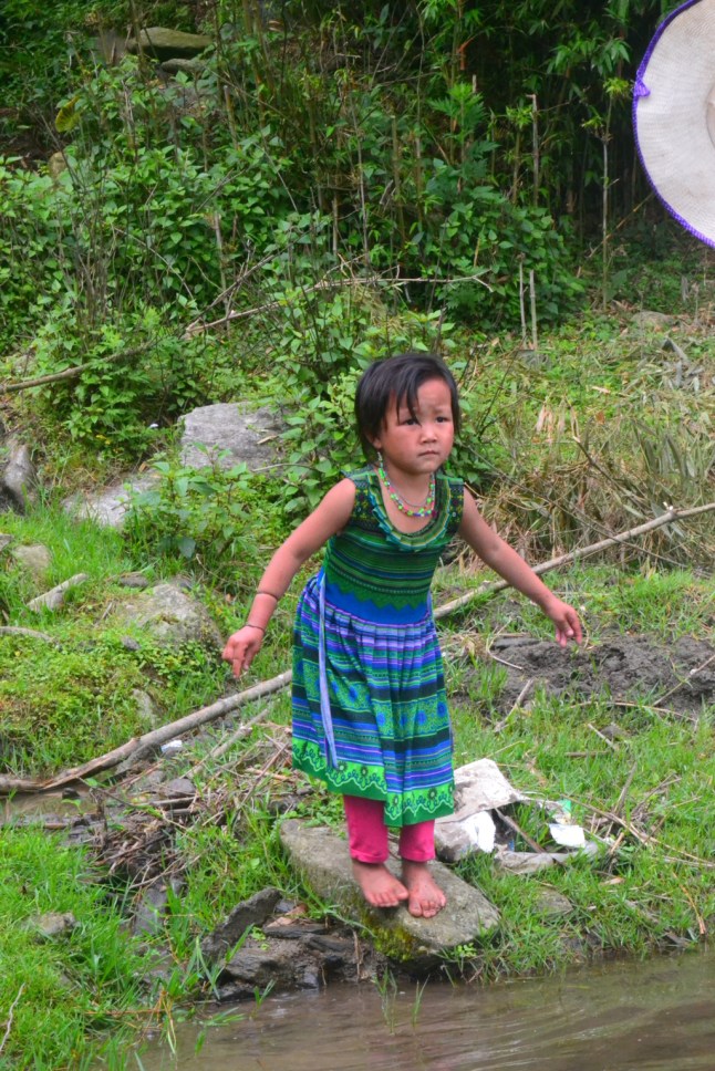 DSC_0574 (FILEminimizer)