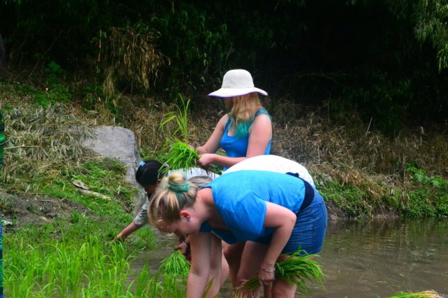 DSC_0590 (FILEminimizer)