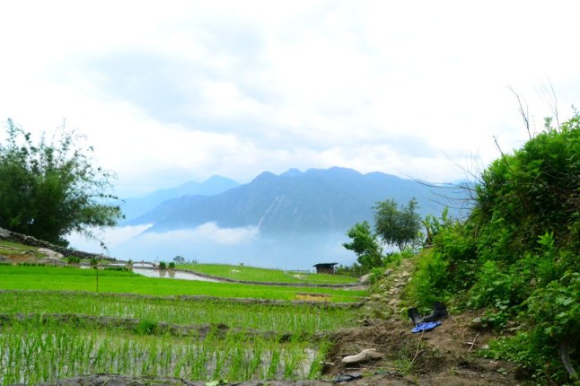 DSC_0600 (FILEminimizer)