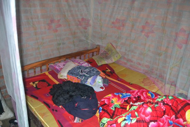 DSC_0611 (FILEminimizer)