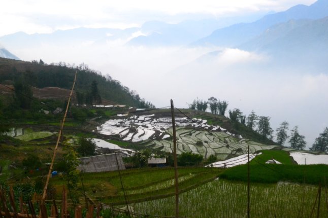 DSC_0618 (FILEminimizer)