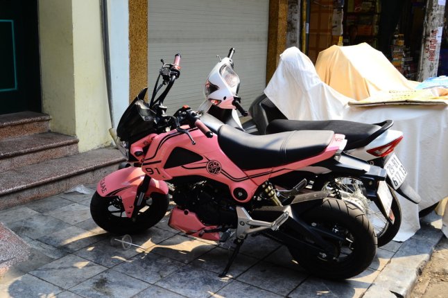 DSC_0626 (FILEminimizer)