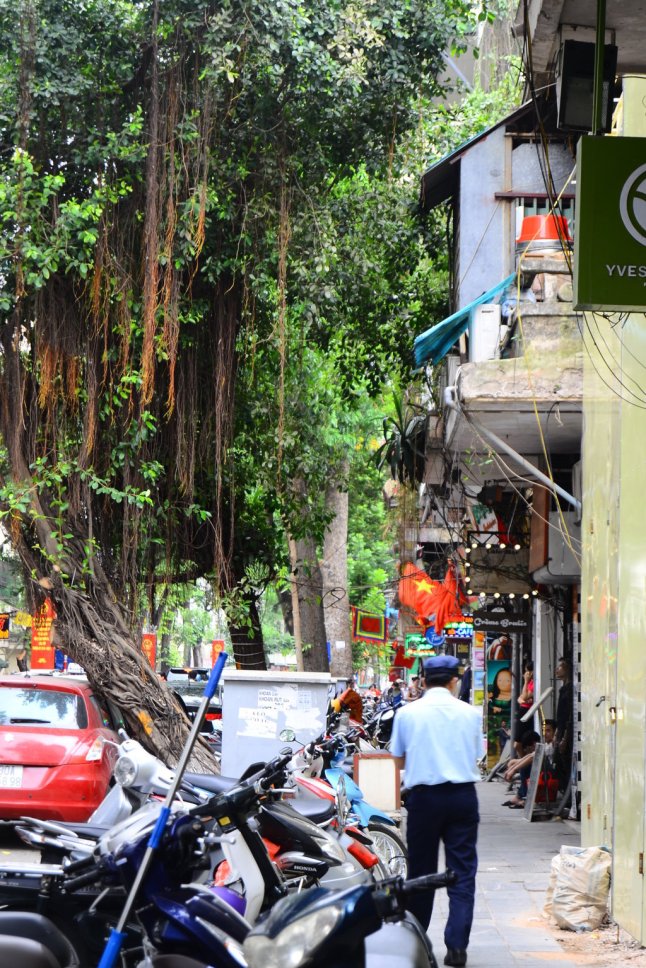 DSC_0645 (FILEminimizer)